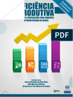 Eficiência Produtiva Análise e Proposições para Aumentar A Produtividade No Brasil