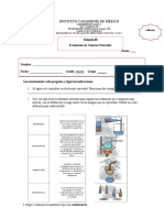 5° Examen de Ciencias Naturales Trim Iii