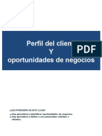 Perfil Del Cliente y Oportunidades de Negocios