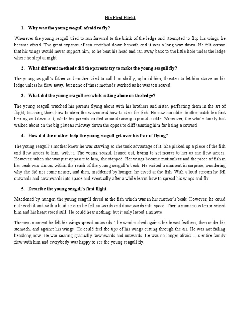 his-first-flight-q-a-pdf