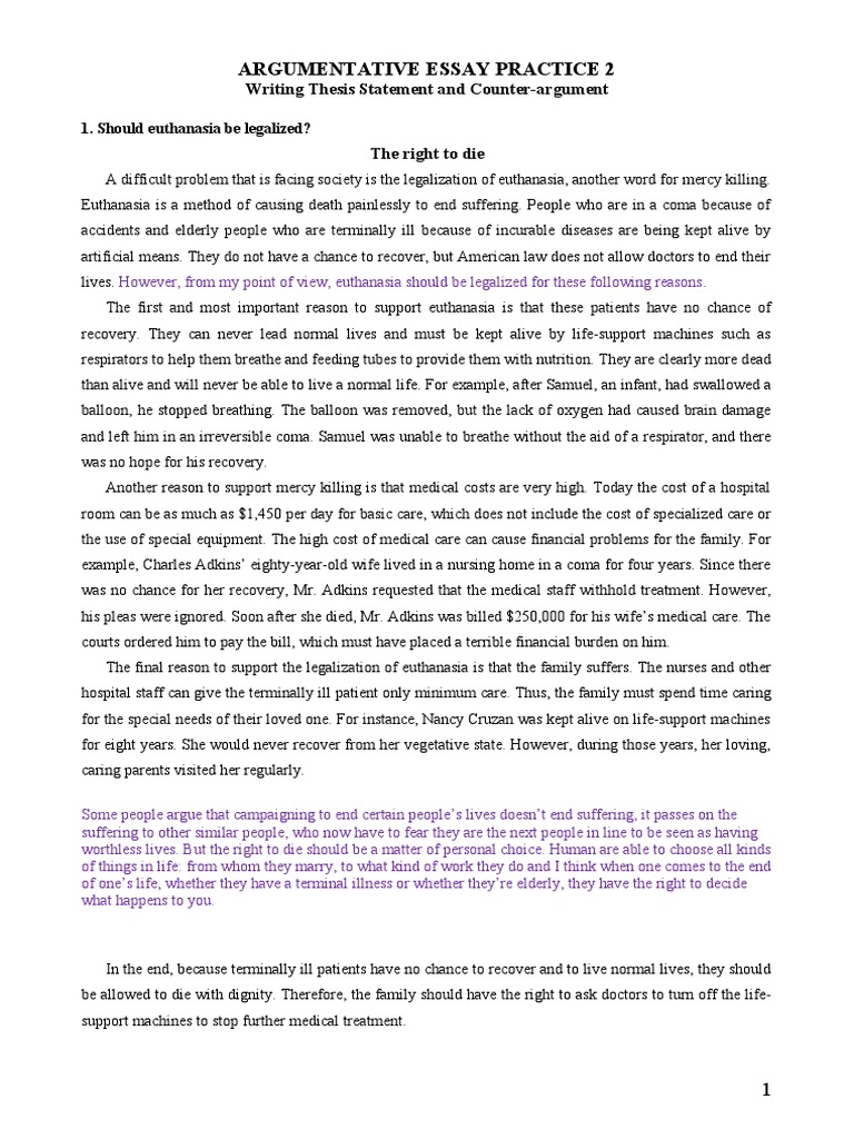 Argumentative Essay Practice 2 PDF Terminal Illness Health Care