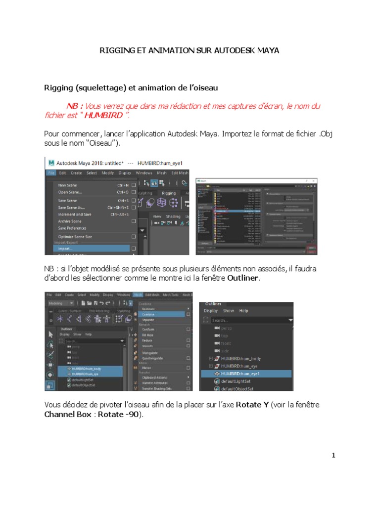 Rigging et Animation d'un Oiseau dans Maya | PDF