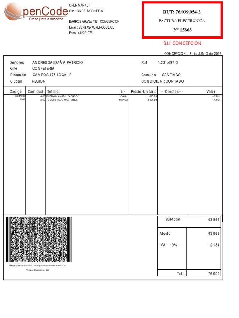 Factura Electrónica en Blanco | PDF
