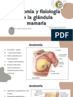 A y F de La Glandula Mamaria