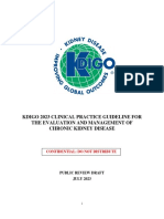 KDIGO 2023 CKD Guideline Public Review Draft 5 July 2023