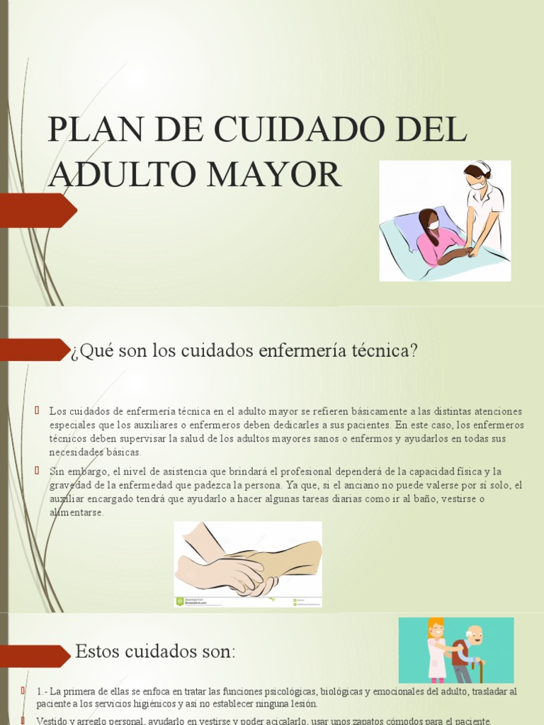 Plan de Cuidado Del Adulto Mayor | PDF | Enfermería | Adultos