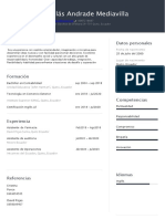 CURRICULUM VITAE Nicolas Andrade Mediavilla