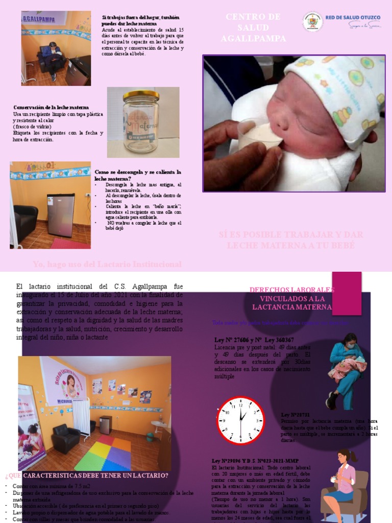 Afiche Lactario | PDF | La leche materna | Amamantamiento