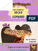 Gecko Leopardo