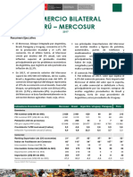 RCB Perú-Mercosur 2017