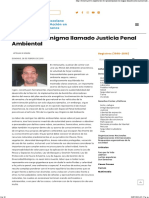 Opinión Un Enigma Llamado Justicia Penal Ambiental - PROVEA