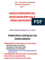 Endo, Mio e Periocardias