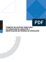 Autorización de Arrastre y Amortización de Pérdida de Operación