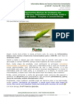 Aula1 (OK) - Informática Básica em Teoria e Exercícios Comentados P ISS-SP - Turma 08 - Foco Cetro