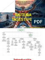 Sistema Digestivo I 2023