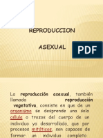 Reproduccion Asexual