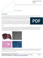 Capítulo 37 - Patología Del Hígado