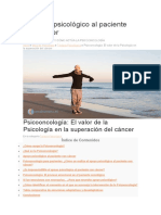 El Apoyo Psicológico Al Paciente Con Cáncer