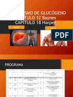 A.metabolismo de Glucógeno