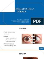 Clase Cornea