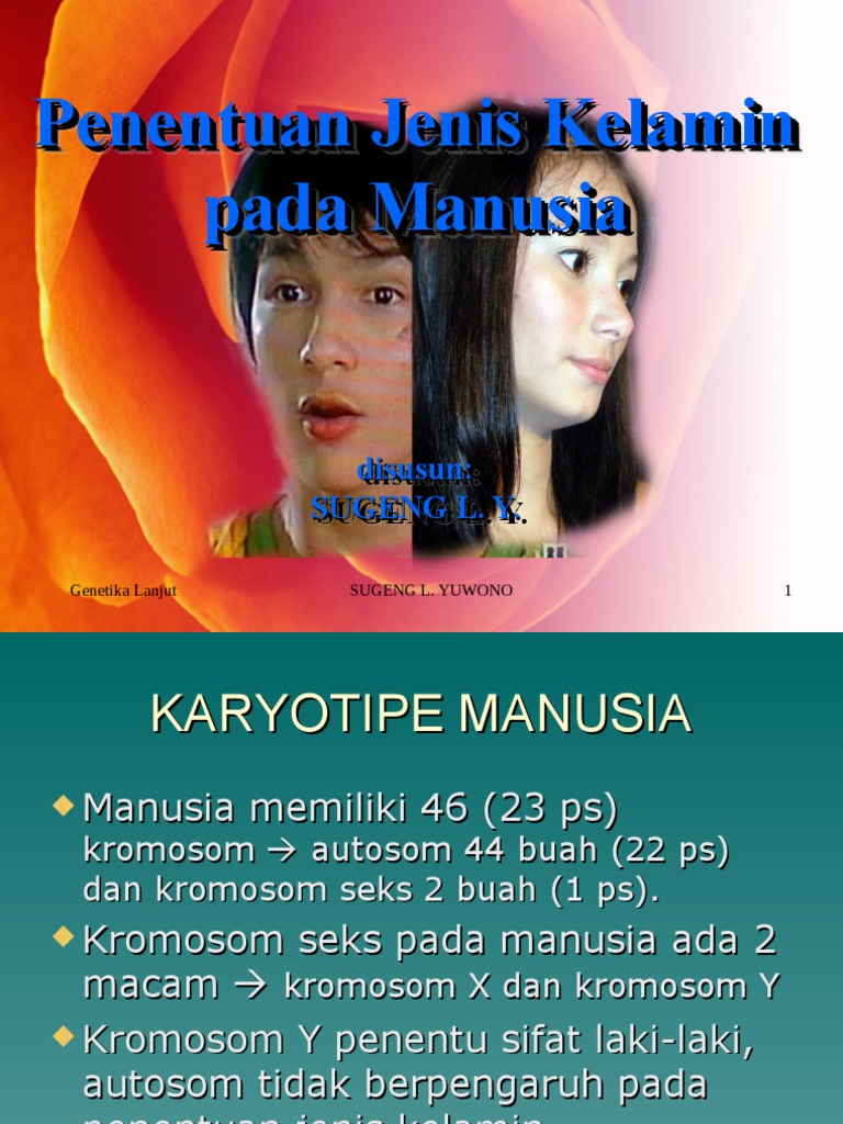 Penentuan jenis kelamin pada manusia pdf