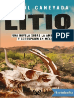 Litio - Imanol Caneyada