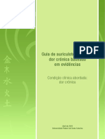 Guia Dor Cronica Final - PDF 26-06-2023