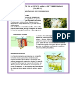 La Respiraciòn en Algunos Animales Vertebrados (Pág. 82-83) : 1. Explicar Y Dibujar Cómo Es El Proceso Respiratorio