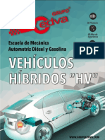 Manual Seguridad HV