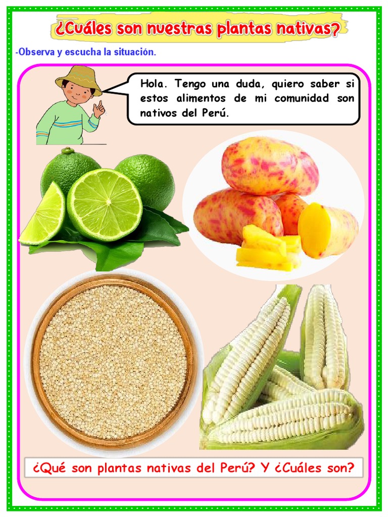 QU PLANTAS NATIVAS HAY EN TU LOCALIDAD PER visual data 4