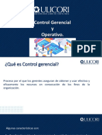 Control Gerencial y Operativo