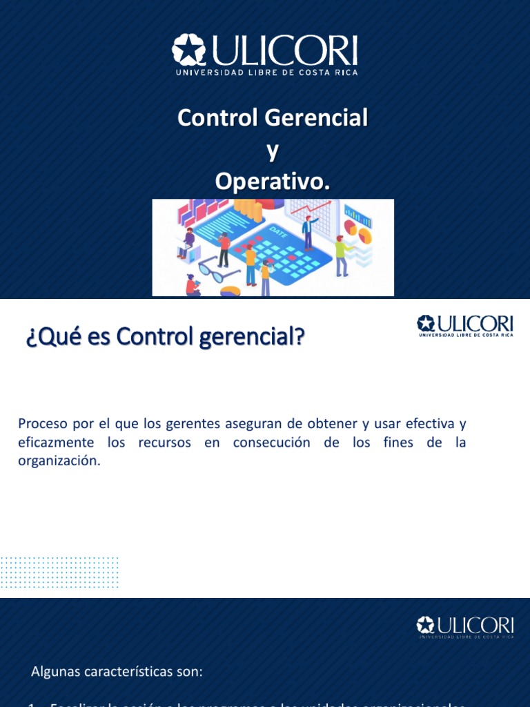 Control Gerencial y Operativo: Definiciones | PDF