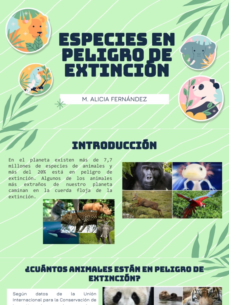 Especies en Peligro de Extinción 1 | Descargar gratis PDF | Especie en ...