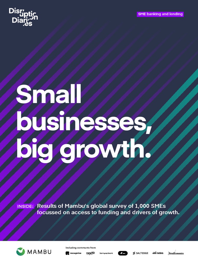 SME Growth and Funding Insights Report | PDF | Loans | Small And Medium ...