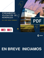 PPT6-Fundamento de Flotacion de Minerales