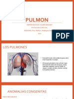 Tema 15. Pulmon. Dra. Sheila A. Rodriguez V.