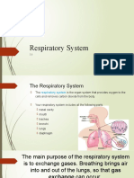 3.6 Respiratory System