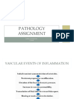 Pathology Assignment
