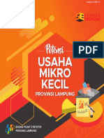 Potensi Usaha Mikro Kecil Provinsi Lampung