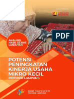 Analisis Hasil SE2016 Lanjutan - Potensi Peningkatan Kinerja Usaha Mikro Kecil Provinsi Lampung