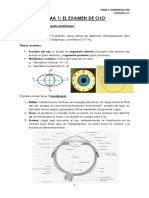 Tema 1. - Examen Del Ojo