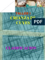 Taller Crianza de Cuyes