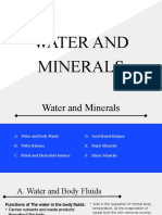 Water Mineral SAS9
