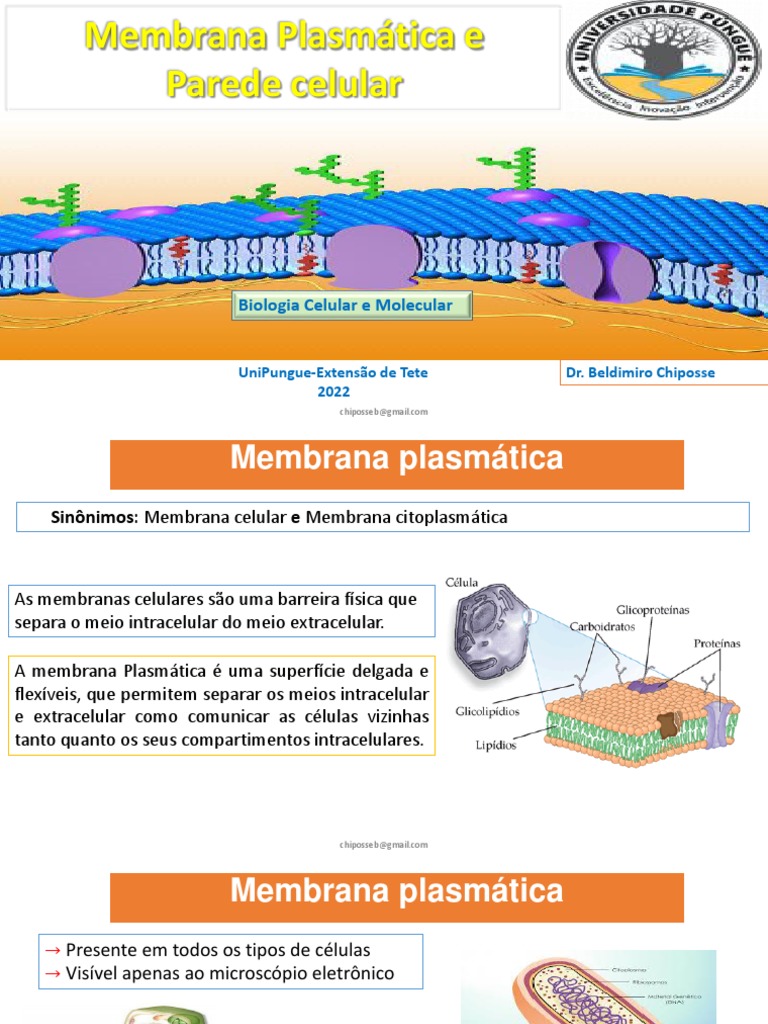 Estrutura e Função da Membrana Plasmática | PDF | Membrana celular | Osmose
