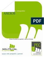 Anexos Programa Pec Autogestion