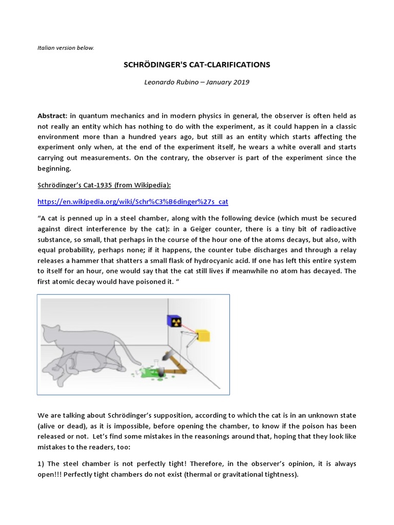 Schrödinger's Cat: Observer's Impact Explained | PDF | Physics ...