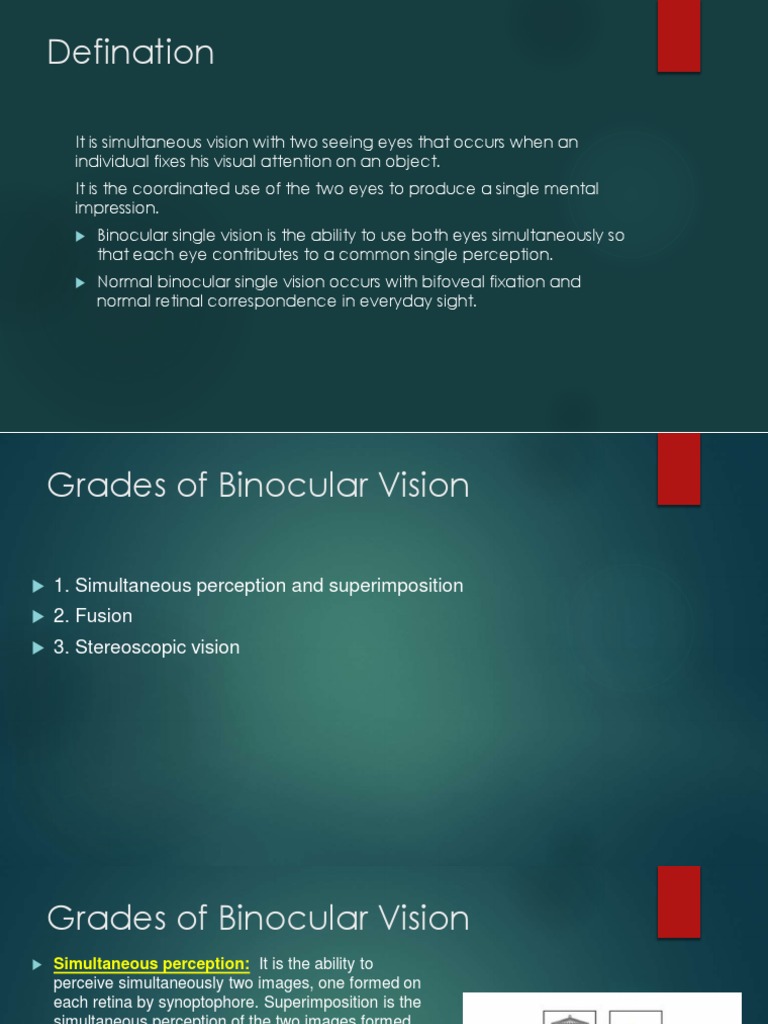 Binocular Vision PDF Visual Perception Perception