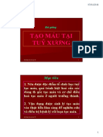 Tao Mau Tai Tuy Xuong
