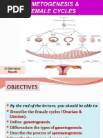 2 - Gametogenesis and Female Cycles