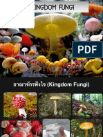 อาณาจักรฟังไจ (Kingdom Fungi)